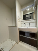 グランデカワノ真田山の洗面所