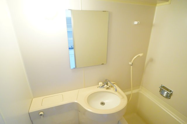 メゾン・ド・ジュネスの洗面所