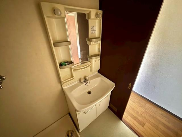 上野マンションの洗面所