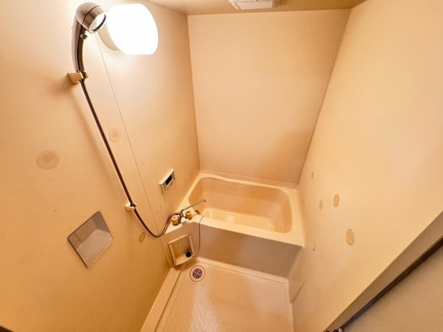 グランドハイツ赤城の浴室