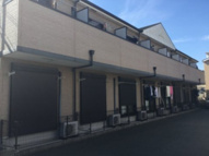 ドミール・アオイの画像