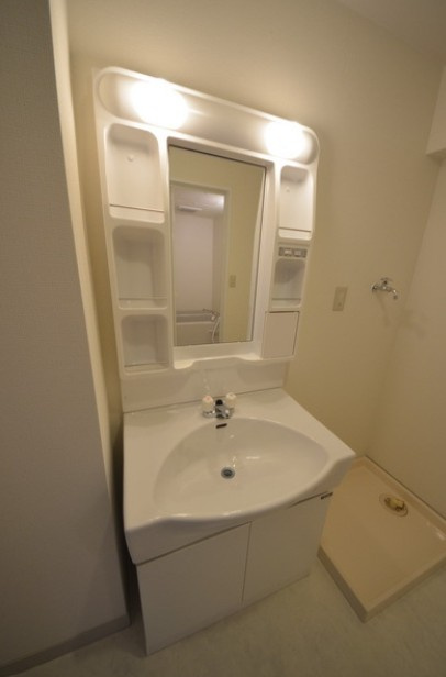 メゾンプチフォーレの洗面所