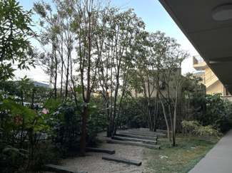 【庭】 | ブランシエラ市川行徳