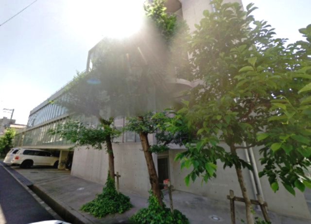 ＭＡＧＮＯＬＩＡ（マグノリア）