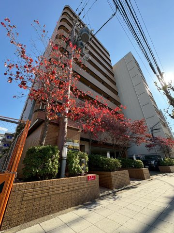 ドミール桜川の外観