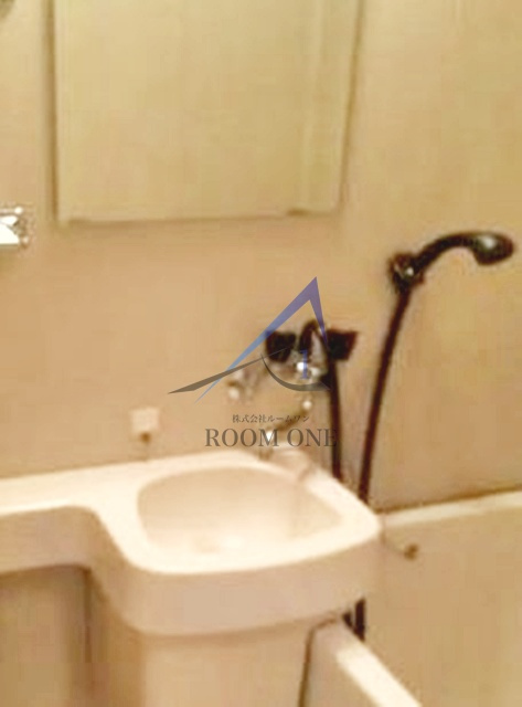 東京ロイヤルプラザの洗面所|洗面台です。