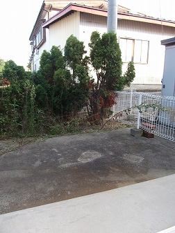 ノースリバー　Ａのその他|その他