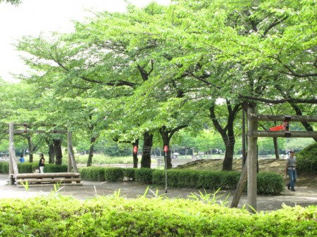 ノーザンロード浮間舟渡の周辺