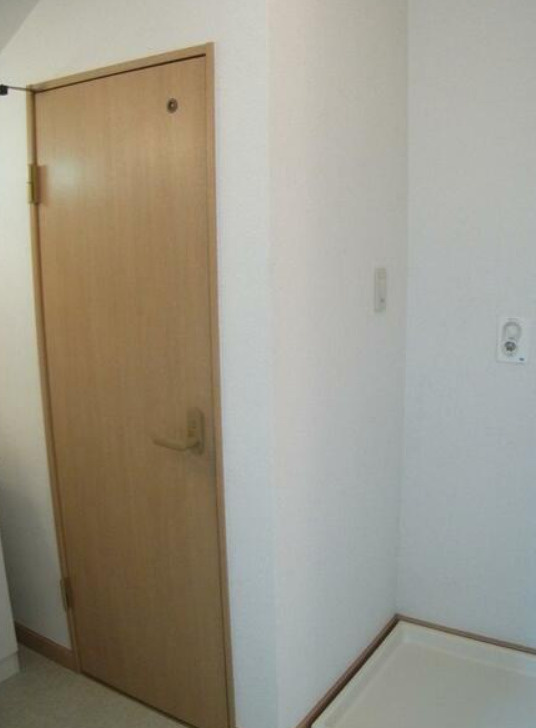 リモーネのその他