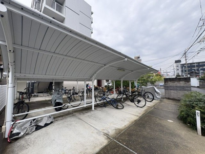 【その他】 | ウィリング コージー