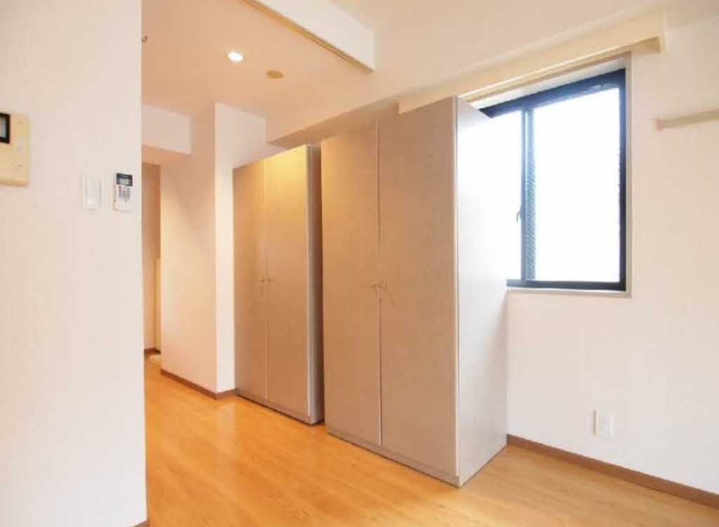 TAKE7西新宿　オートロック　ネット無料　シャーメゾンの収納