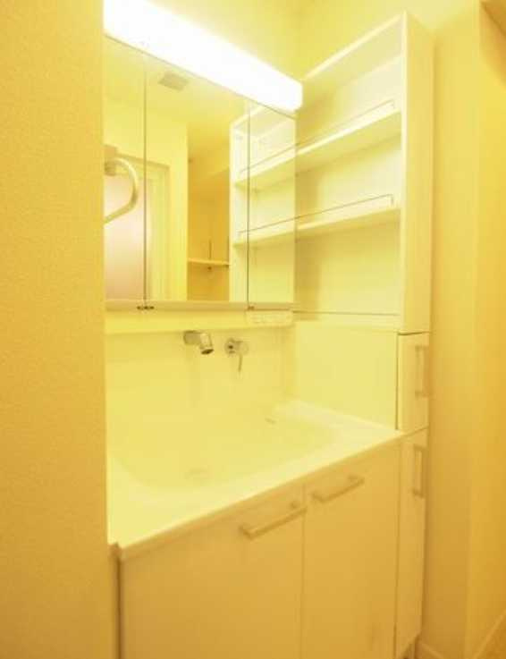 パティオ高田馬場　駅近　ネット無料　シャーメゾンの洗面所