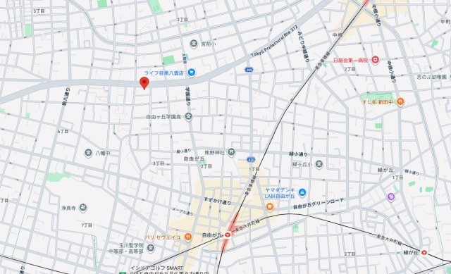 ★仲介手数料無料★自由が丘ハイタウン（耐震基準適合物件）の地図