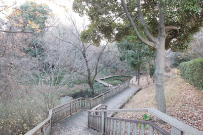 宮前美しの森公園まで500ｍ
