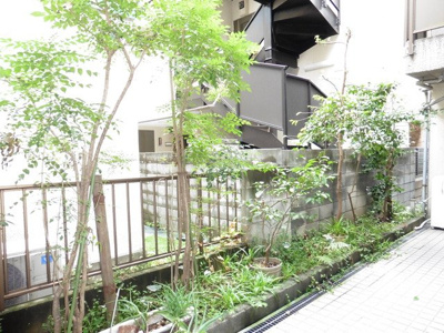 【その他】 | メゾン・ド・ボックス | 植栽：2015年11月撮影