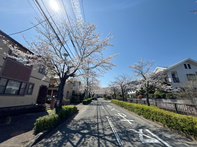 美しい桜の景色が望めます♪