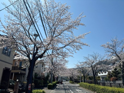 美しい桜の景色が望めます♪