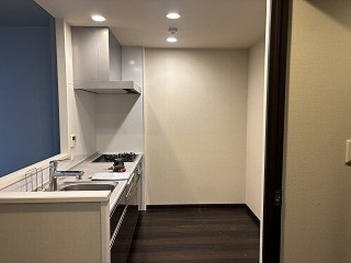 ライオンズ六ツ門サンリヤンタワーのキッチン|システムキッチン