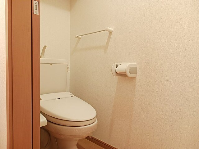 ハルトリーゲルＡのトイレ|トイレです
