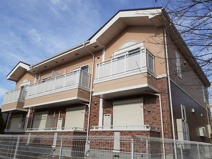 コンフィデンス・コートの画像