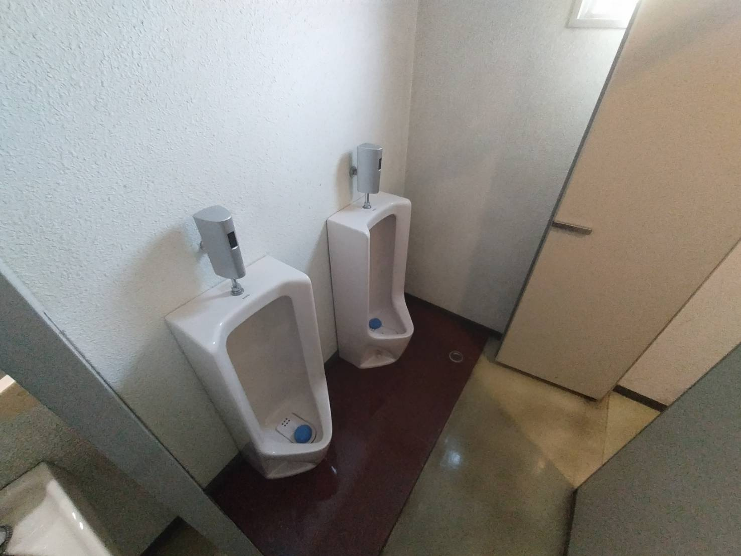 アルスビル3Cのトイレ