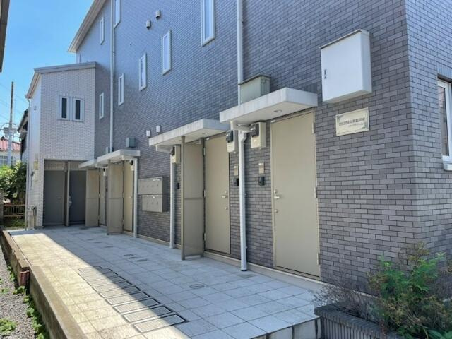 エバーグリーン