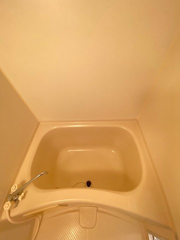 グロリオーサ甲東の浴室