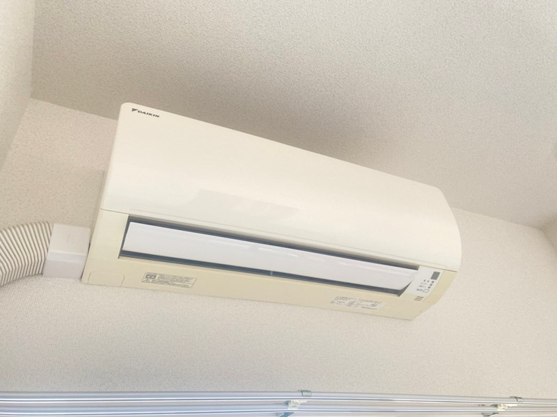 リヴィアスナンバルーチェのその他