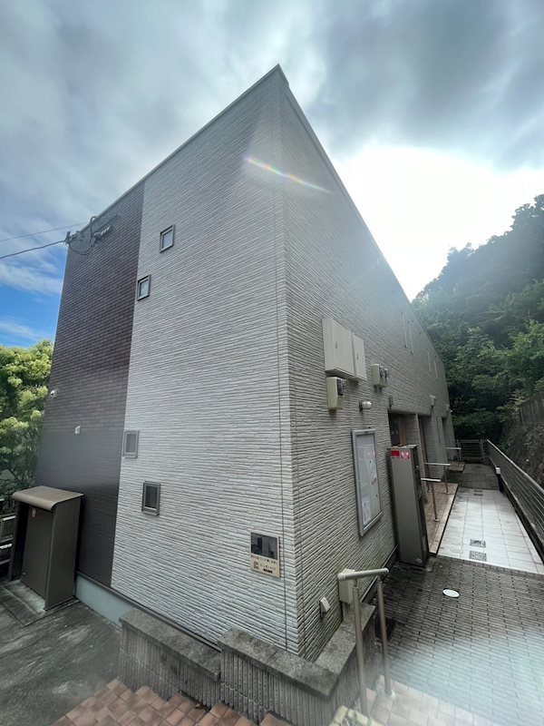 クレイノヤマボウシの外観