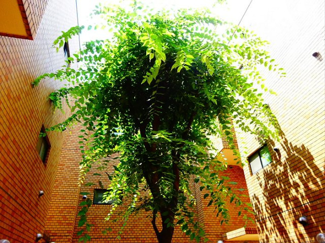 エレガン学芸大学のその他共用部分