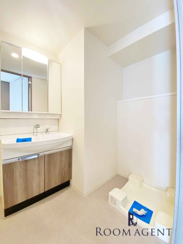 プレサンス千種駅前レイズの洗面所