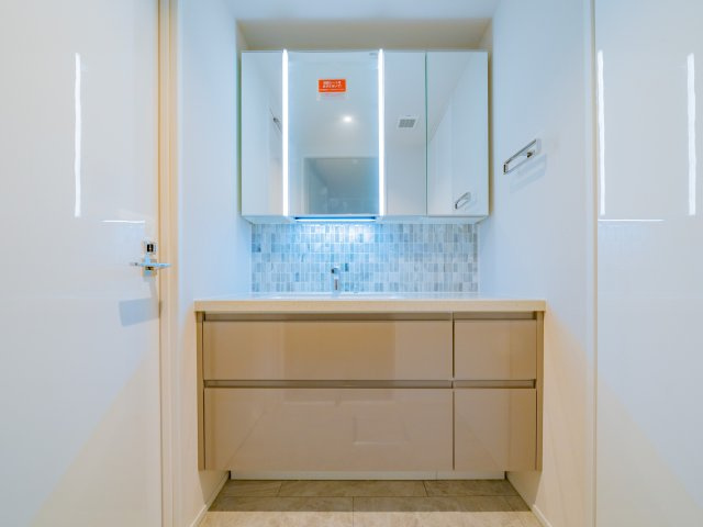 THE TOWERS DAIBA EASTの洗面所