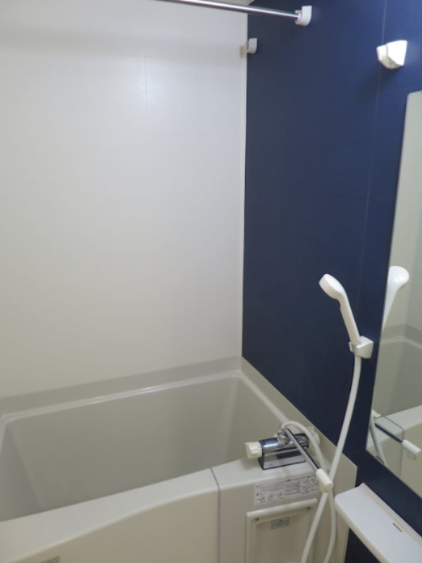 TRADIS　RISE　錦糸町 の浴室