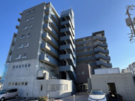 コザックスの画像