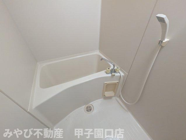 ハイツテンドウの浴室