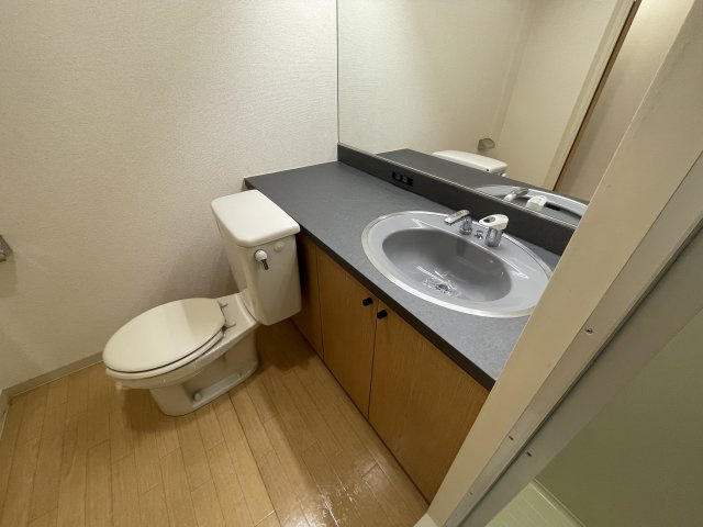 GranPino武庫川の洗面所