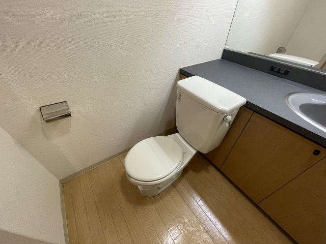 GranPino武庫川のトイレ
