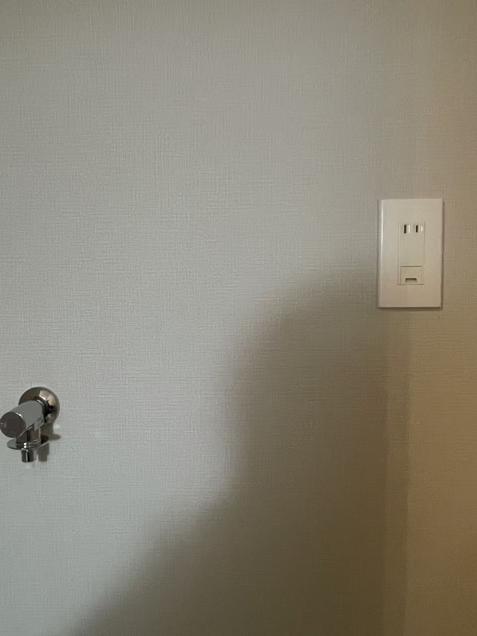 新宿パークサイド永谷のその他