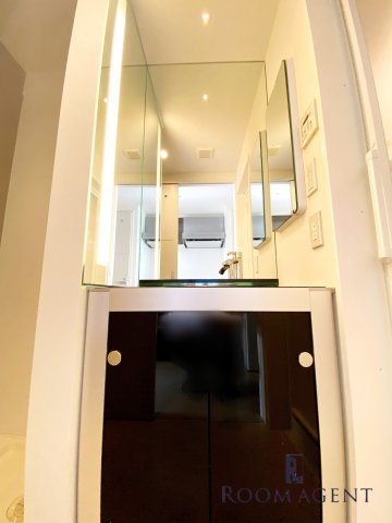 弥富通ライズの洗面所