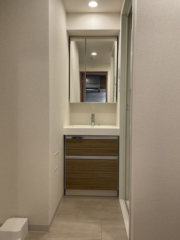 HY's田端Ⅱwestの洗面所