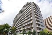 ファミールハイツ八尾B棟　安中小学校区　ＪＲ八尾駅の画像