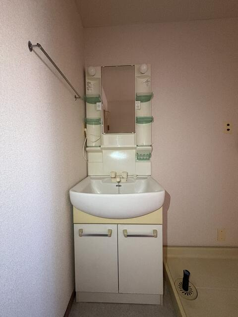 ダイアパレス金町の洗面所
