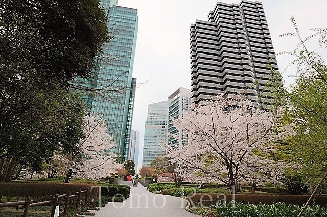 泉ガーデンレジデンスの外観