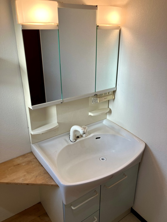 東古市場戸建の洗面所