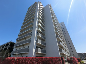 センティスの画像