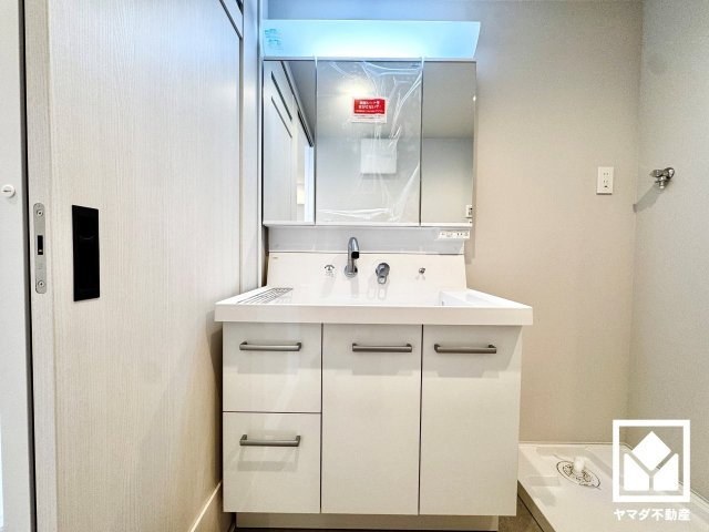 グラン・ドムール山科の独立洗面台