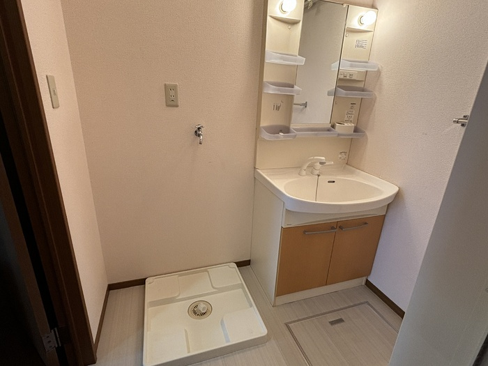 メゾネットメゾンの洗面所