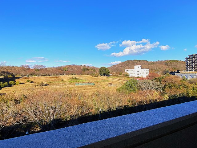 ロワジール伊豆一碧参番館の展望