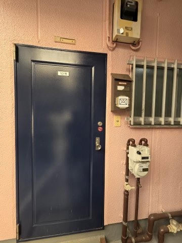 落ち着いた玄関です