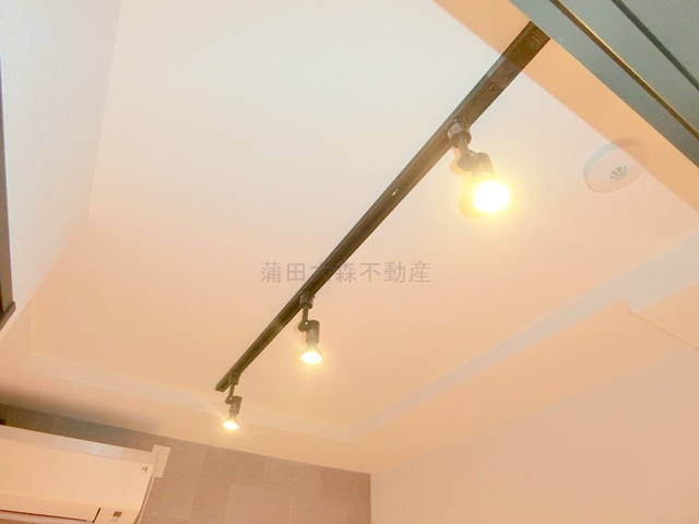 GRAN PASEO大森Ⅱの設備|ダウンライト照明